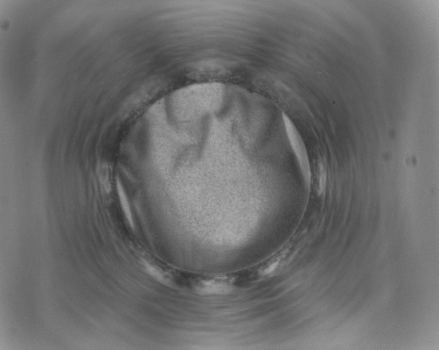 X0000076320232200610161652