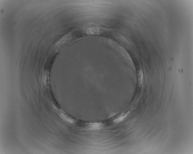 X0000076320233200610161652