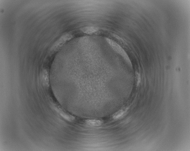 X0000076320234200610161651