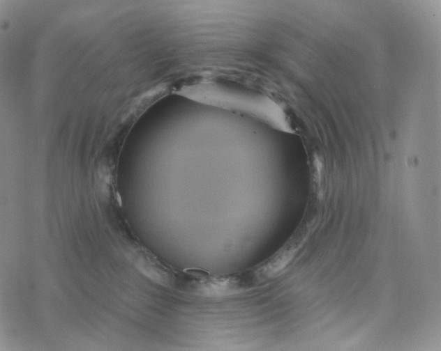 X0000076320235200610161651