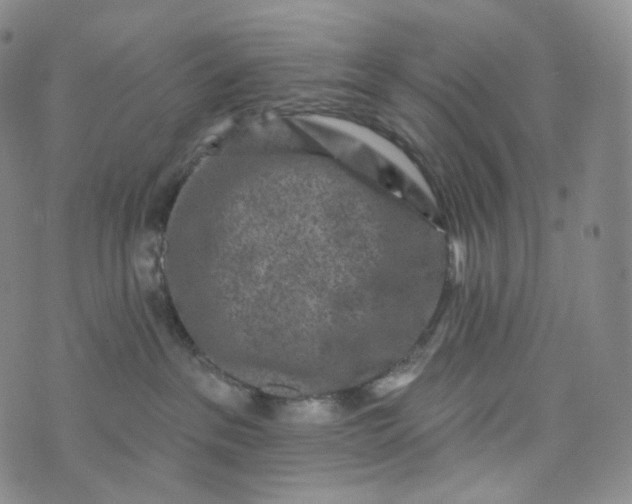 X0000076320237200610161651