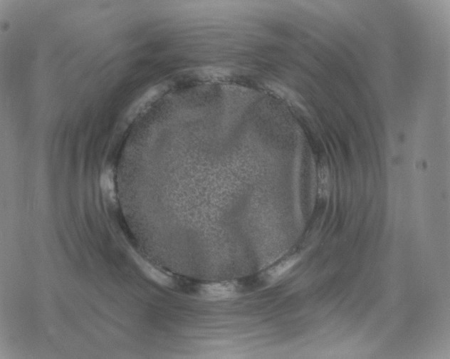 X0000076320238200610161651