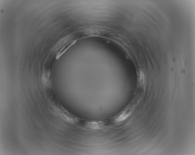 X0000076320239200610161651