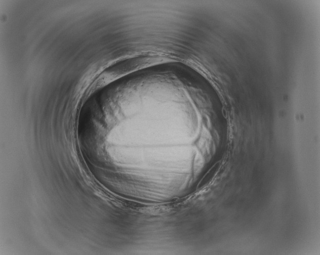 X0000076320241200610161651