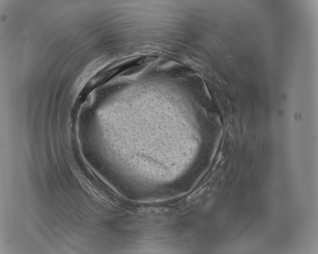 X0000076320242200610161651