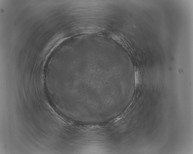 X0000076320243200610161651