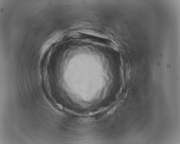 X0000076320245200610161651