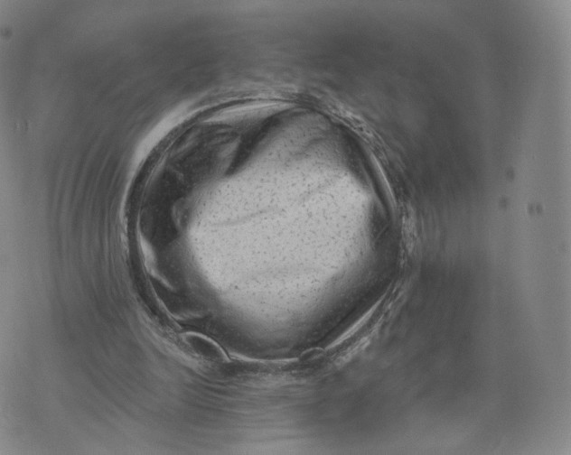 X0000076320246200610161651