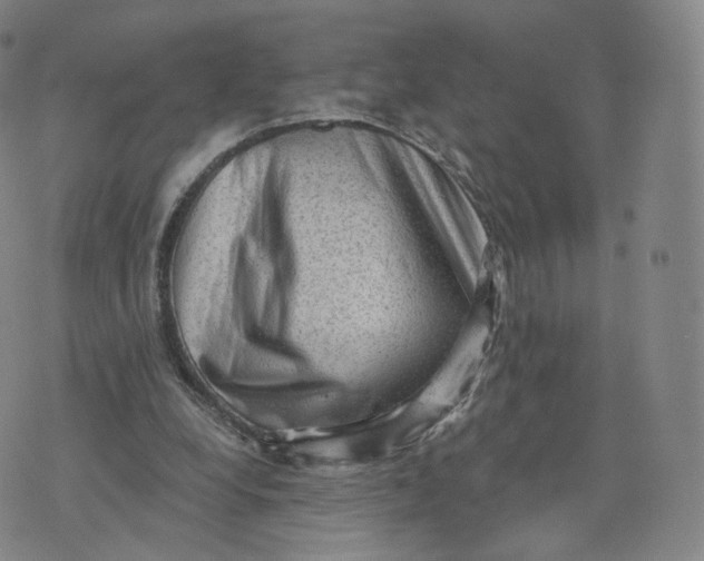 X0000076320248200610161651