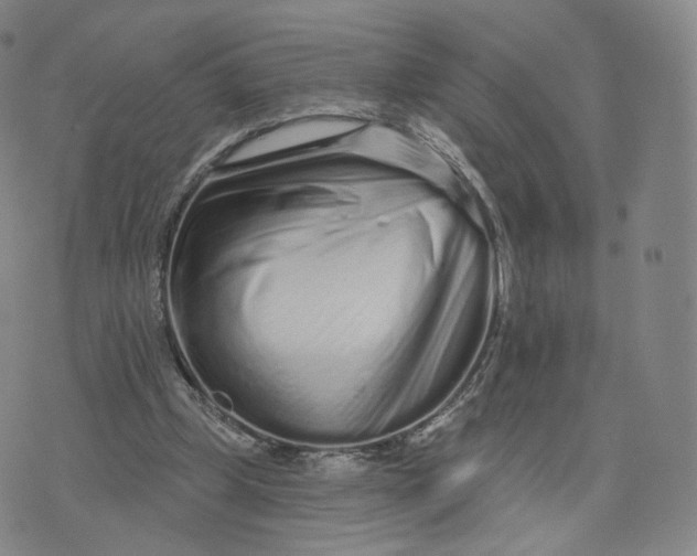 X0000076320249200610161651