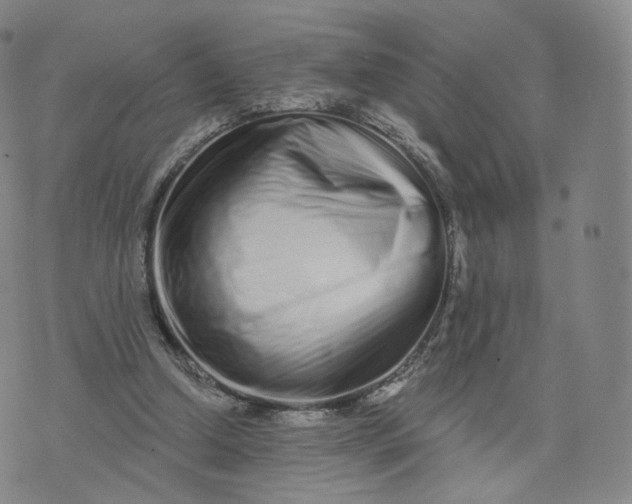 X0000076320250200610161651