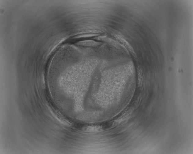 X0000076320251200610161651