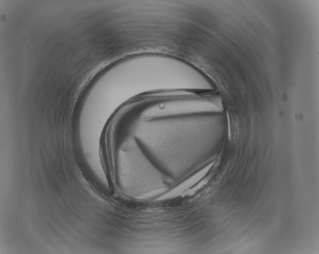 X0000076320252200610161651