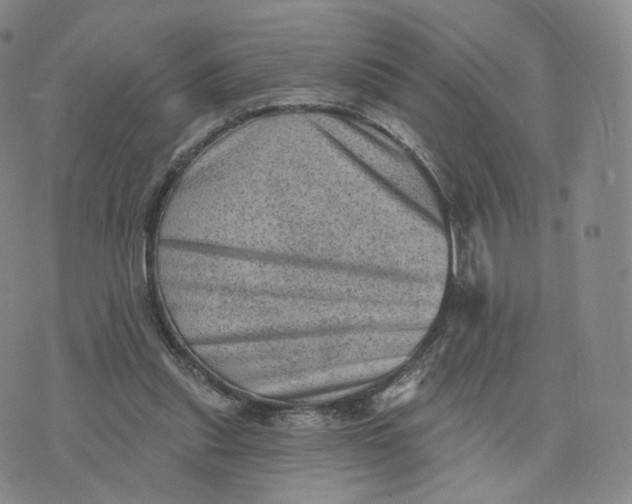 X0000076320253200610161651