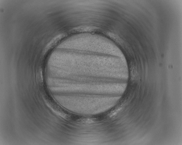 X0000076320254200610161651