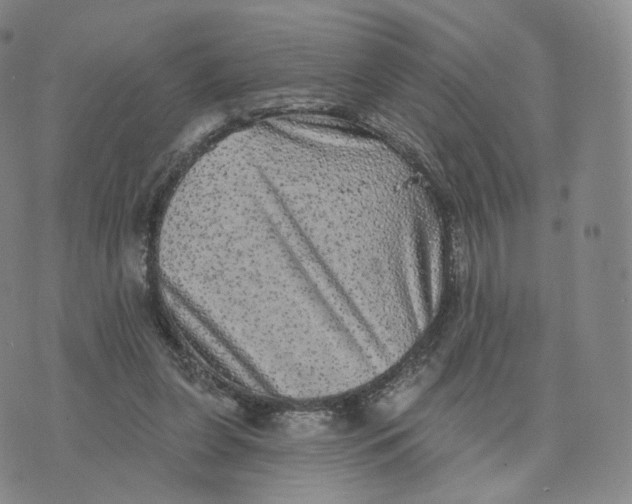 X0000076320255200610161651