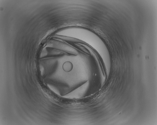 X0000076320256200610161651