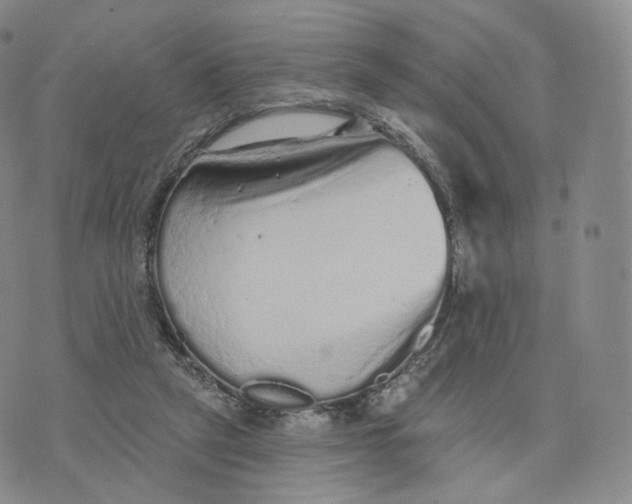 X0000076320257200610161651