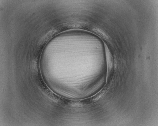 X0000076320258200610161651