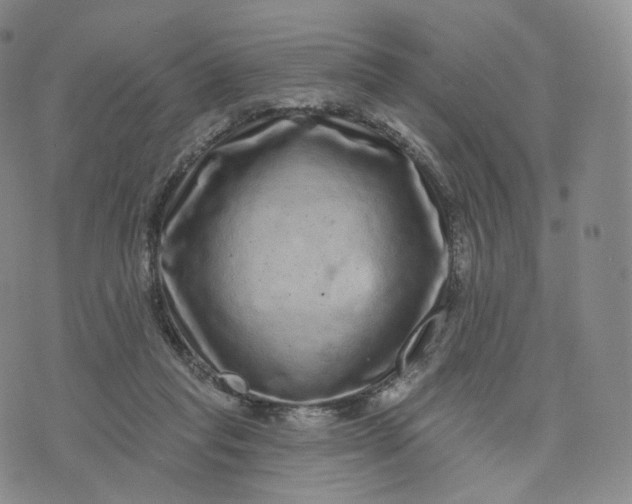 X0000076320261200610161651