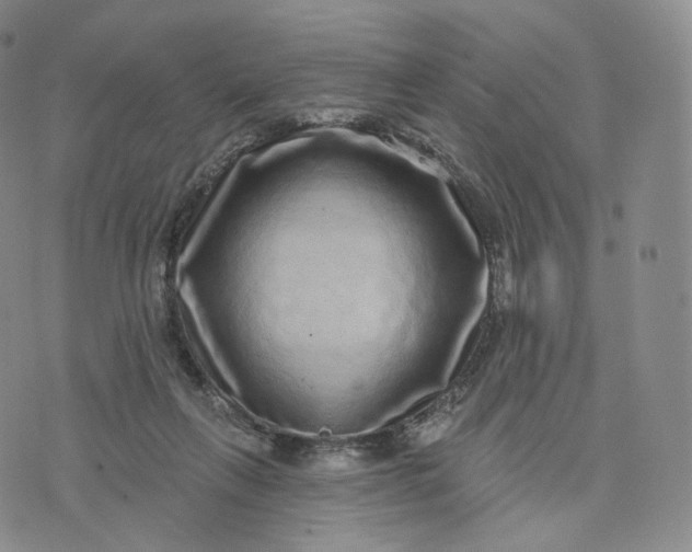 X0000076320263200610161651