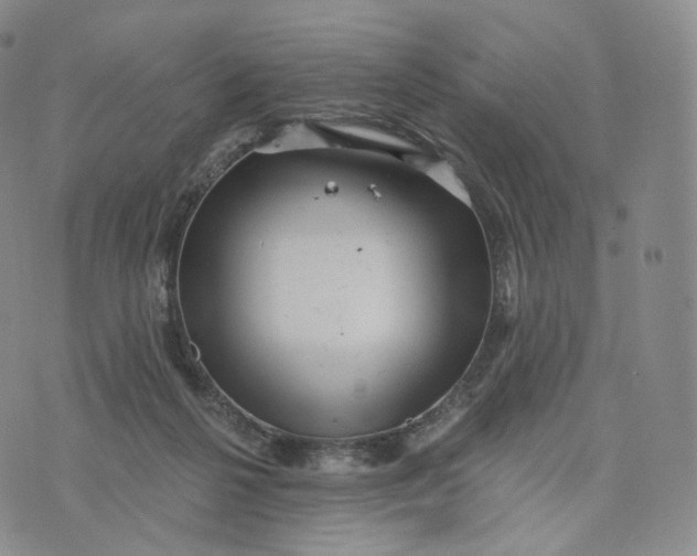 X0000076320264200610161651