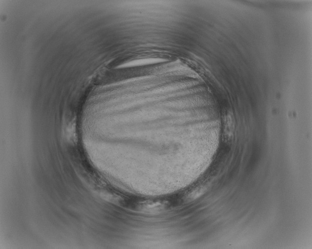 X0000076320267200610161651