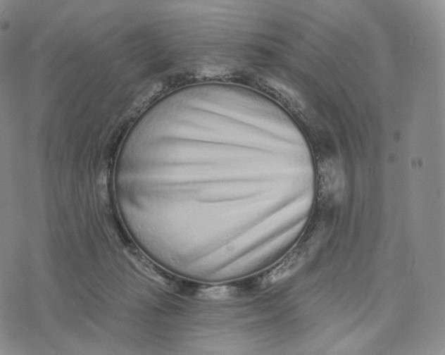 X0000076320269200610161651