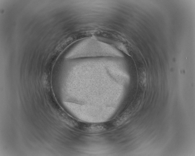 X0000076320270200610161651