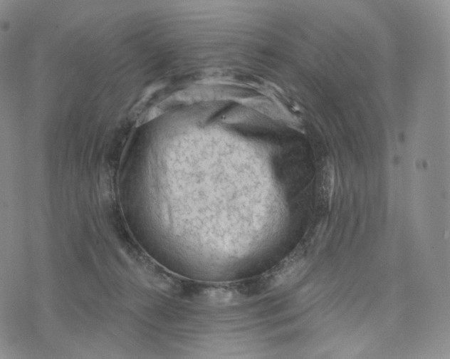 X0000076320272200610161651