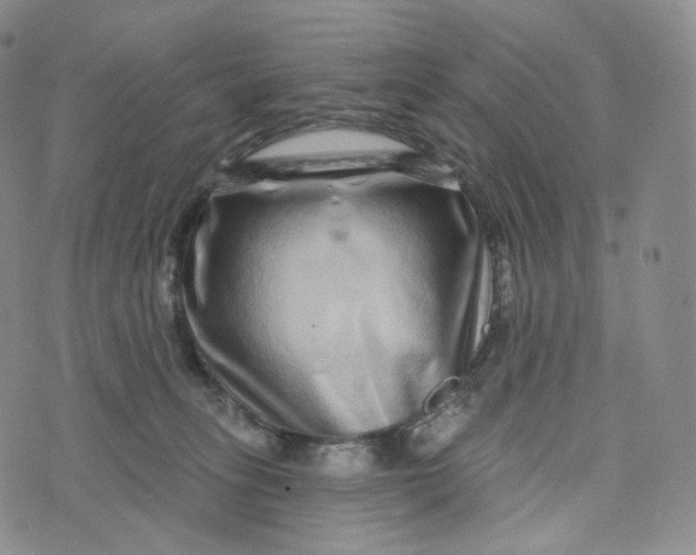 X0000076320275200610161651