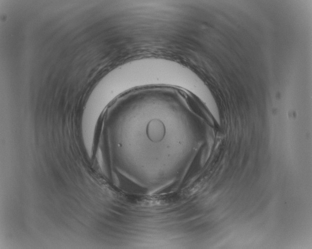 X0000076320276200610161651