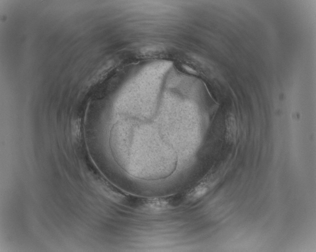 X0000076320278200610161651