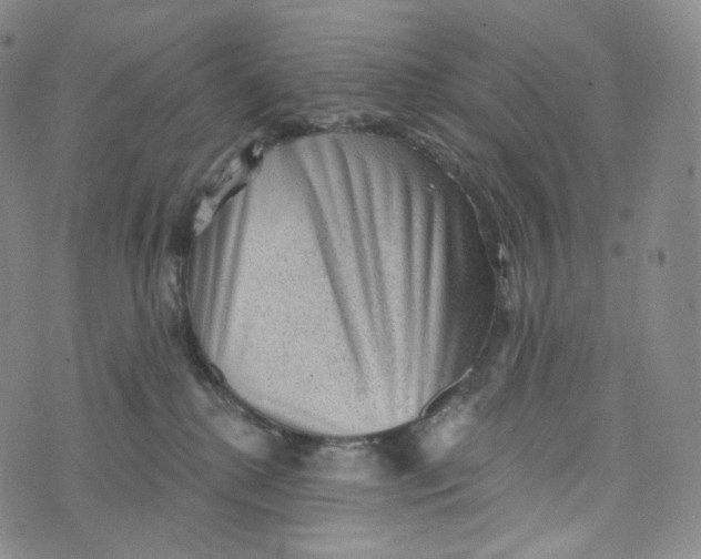 X0000076320280200610161651