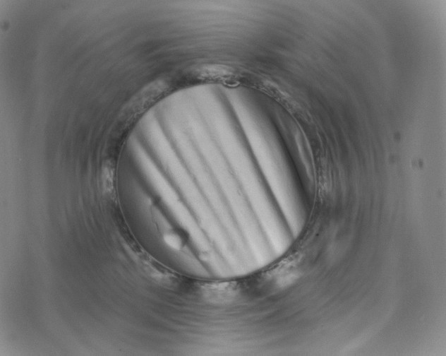 X0000076320281200610161651