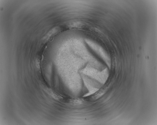 X0000076320282200610161651