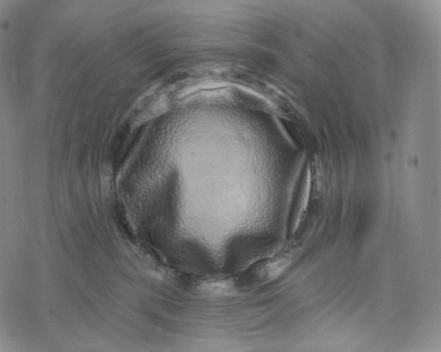 X0000076320283200610161651