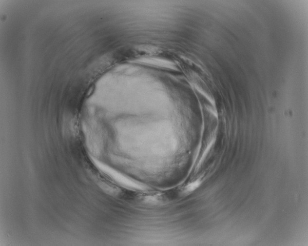 X0000076320285200610161651