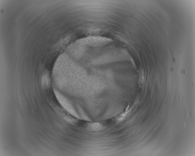 X0000076320287200610161651