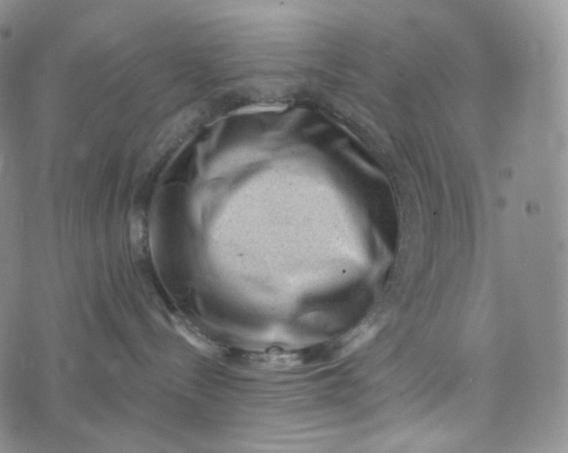 X0000076320288200610161651