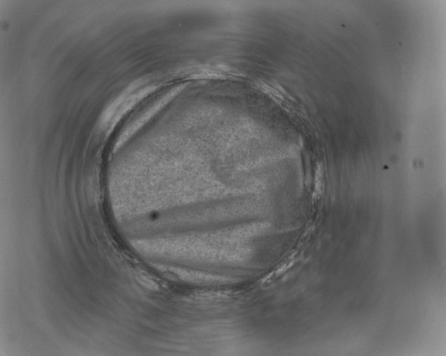 X0000076320291200610161651