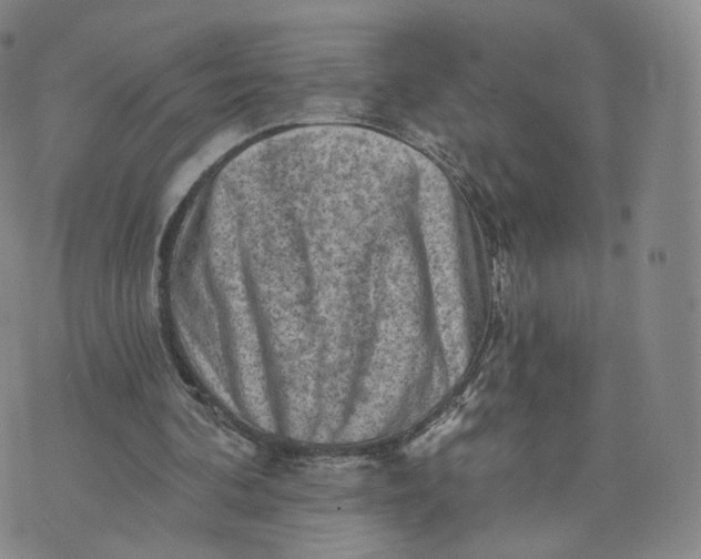 X0000076320292200610161651