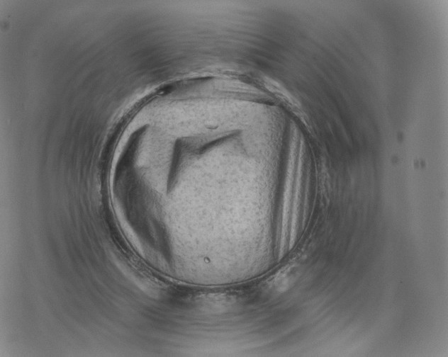 X0000076320298200610161650