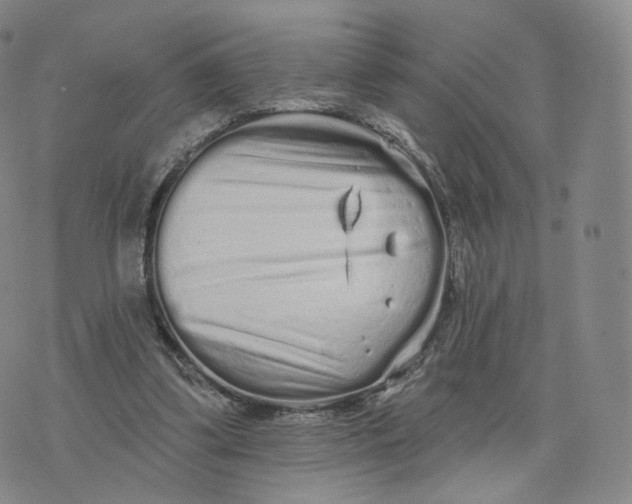 X0000076320299200610161650