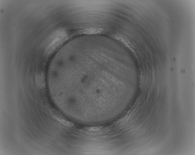 X0000076320303200610161650