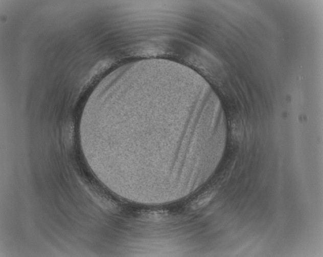 X0000076320304200610161650