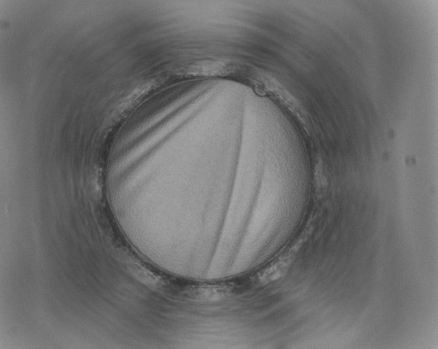 X0000076320305200610161650