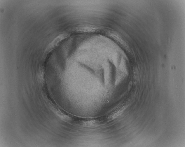 X0000076320309200610161650