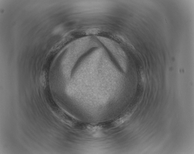 X0000076320311200610161650