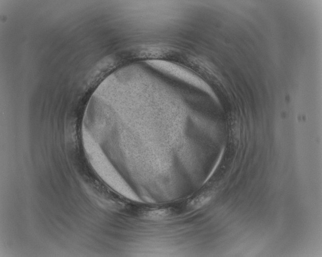 X0000076320312200610161650